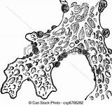 Lichen Clipart Lichens Clipground Lung Designlooter 422px 84kb sketch template