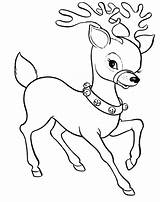 Reindeer Christmas Coloring Pages Merry Drawings Drawing Color Baby Cool Print Clipart Head Sheets Noel Printable Kids Flying Boyama Becuo sketch template