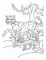 Cheetah Coloring Pages Cub Running Getcolorings Getdrawings sketch template
