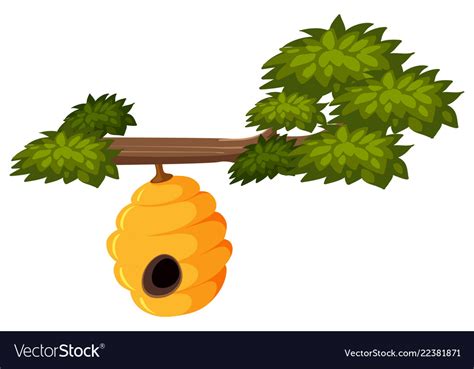 Beehive On Tree Branch Royalty Free Vector Image