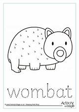 Wombat Tracing Word Wombats sketch template