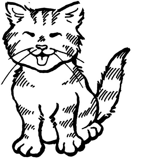 cat coloring pages  kids images animal place