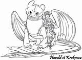 Krokmou Coloriage Harold Dragon Furie Coloriages Nocturne Tempete sketch template