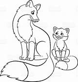 Fox Coloring Baby Pages Cute Drawing Mother Printable Kitsune Cartoon Red Narwhal Adults Fennec Realistic Color Kids Book Getcolorings Easy sketch template