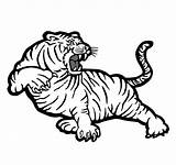 Lsu Tigers Auburn Coloringhome Shape sketch template