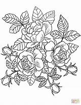 Pages Coloring Flowers sketch template