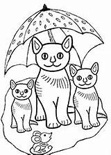 Kucing Kertas Mewarna Haiwan Katzen Mewarnai Binatang Cetak sketch template