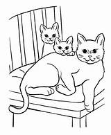 Cat Coloring Pages Printable Cats Kitten Cartoon Little Sheets Print Animals Cute Pet Twi Siamese Baby Color Coloring4free 2021 Animal sketch template