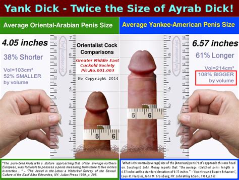 penis size of porn nude pic