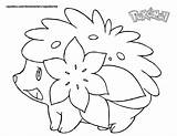 Pokemon Coloring Pages Zorua Cartoons Color Drawings  Name Getdrawings Getcolorings sketch template