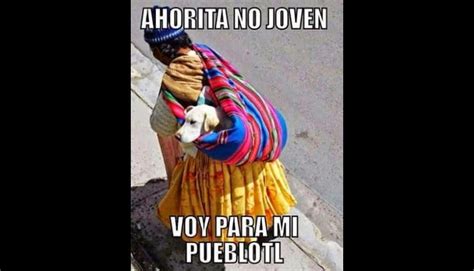 ahorita  joven los memes  causan sensacion en red