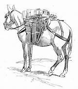 Carga Burro Kleurplaten Ezels Ausmalbilder Burros Esel Donkey Kleurplaat Eseln Imprimir Bezoeken sketch template