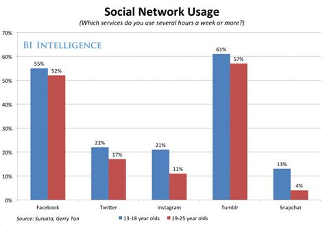 tumblr and social media demographics business insider