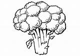 Clipart Broccoli Coloring Outline Drawing Pages Vegetable Clip Para Drawings Colorir Edupics Webstockreview Large sketch template