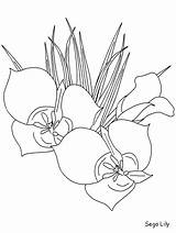 Coloring Pages Flowers Realistic Flower Lily Sego Bluebonnet Printable Color Goldenrod Advertisement Plants Easily Print Popular Library Clipart Coloringpagebook Kids sketch template