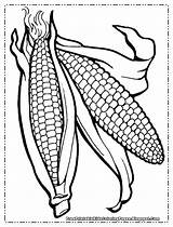 Coloring Pages Corn Printable Cob Ear Drawing Indian Stalk Field Kids Template Color Outline Print Getcolorings Fruit Getdrawings Children Templates sketch template