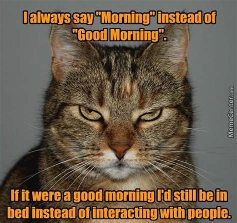Morning Cat By George Wright 798278 Meme Center