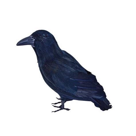 20 aud blackbird stuffed feather feathered raven halloween crow bird