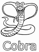 Cobra Snake Coloring Pages King Jungle Animal Print sketch template