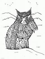 Coloring Pages Adults Lynx Animal Print Colouring Printable Look Other sketch template
