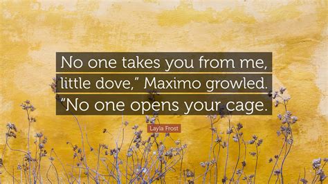 Layla Frost Quote “no One Takes You From Me Little Dove ” Maximo