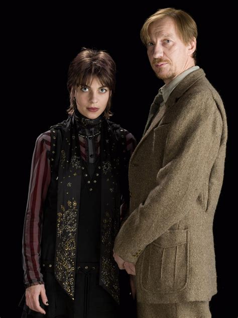 Tonks And Lupin In Hbp [hq] Tonks Photo 12628068 Fanpop