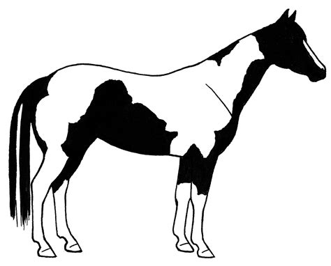 horse clipart  clipartix