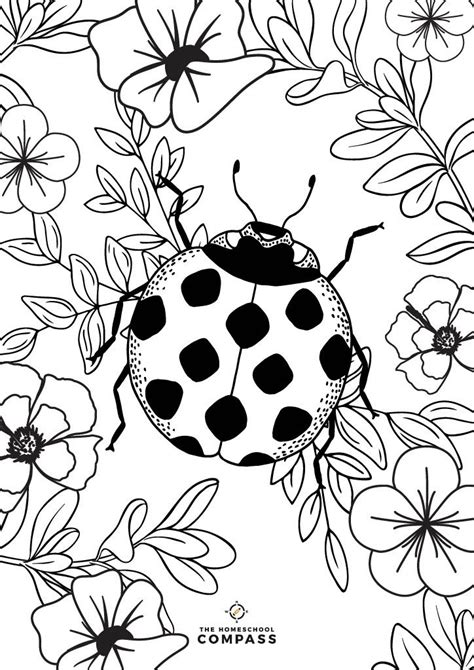 printable insect coloring page insect activities insect