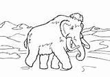 Steinzeit Ausmalen Ausmalbild Malvorlage Mammut Urzeittiere Für Berge Vorlagen sketch template