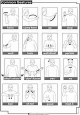 Sign Language Gestures Common Classroom Makaton Nz American Signs School Nzsl Teachers Gesture Activities Sheet Book sketch template