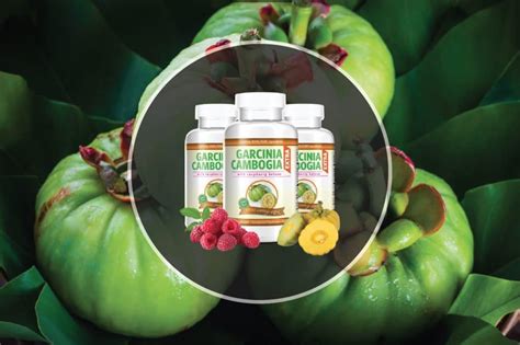 garcinia cambogia for weight loss does it work [reviews]