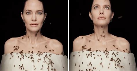 angelina jolie didn t shower for three days prior to mesmerizing bee