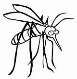 Mosquito Bestcoloringpagesforkids sketch template
