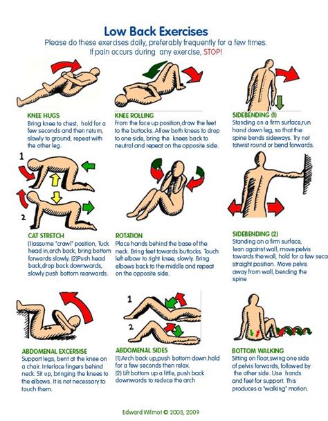 17 Best Images About Stretching Exercises For Lower Back On Pinterest