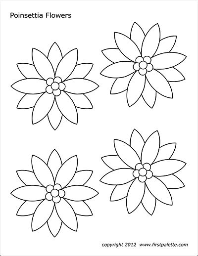 poinsettia flowers  printable templates coloring pages