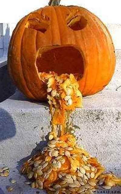 halloween pumpkin throwing up pumpkin decorating pinterest