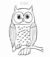 Owl Coloring Pages Cute Kids Sheet sketch template