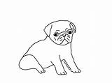 Pug Coloring Pages Puppy Printable Cute Drawing Pugs Dog Kids Draw Line Animals Color Drawings Print Sad Puppies Getcolorings Getdrawings sketch template