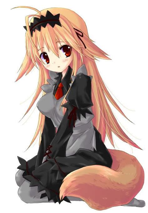 anime fox girl poisk  google anime devushki iz anime
