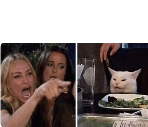 meme generator woman yelling pointing at cat with