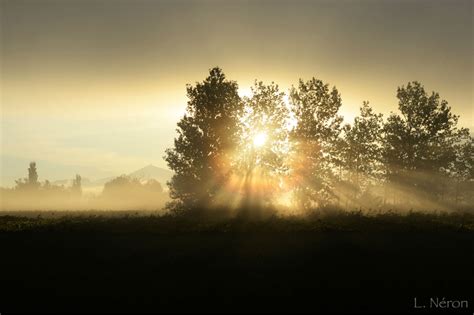soleil au petit matin  laure neron photographe vaucluse