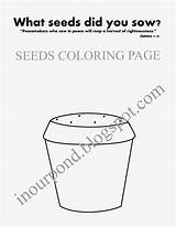 Coloring Seeds Seed sketch template