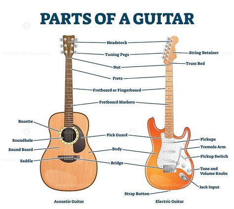 parts  acoustic  electric guitar labeled structure vector illustration guitar electric