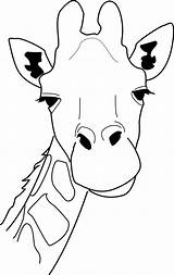 Giraffe Outline Clipart Head Clipground sketch template