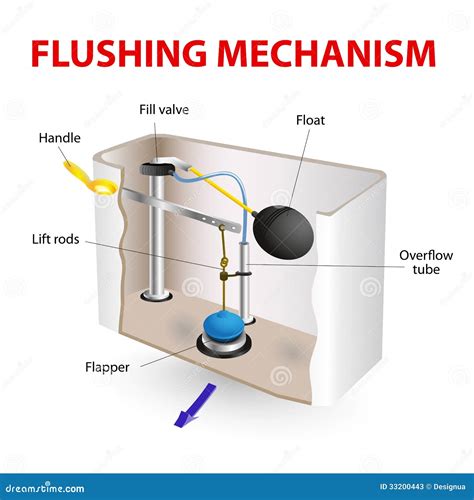 flushing mechanism flush toilet stock vector illustration  float level