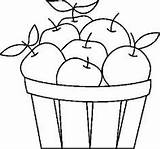 Basket Coloring Pages Apple Apples Fall Fruit Sheet Fruits Craft sketch template