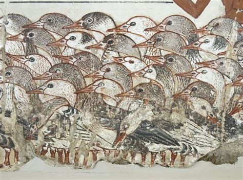 277 Best Birds Of Ancient Egypt Images On Pinterest