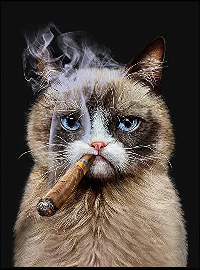 Art Poster Siamese Cat Smoking Cigar Black Matte Paper White Framed