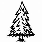 Trees Evergreen Spruce Lineart Fir Clipartmag Wikiclipart sketch template