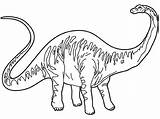 Diplodocus Dinosaurio Dinosaurios Imprimir sketch template